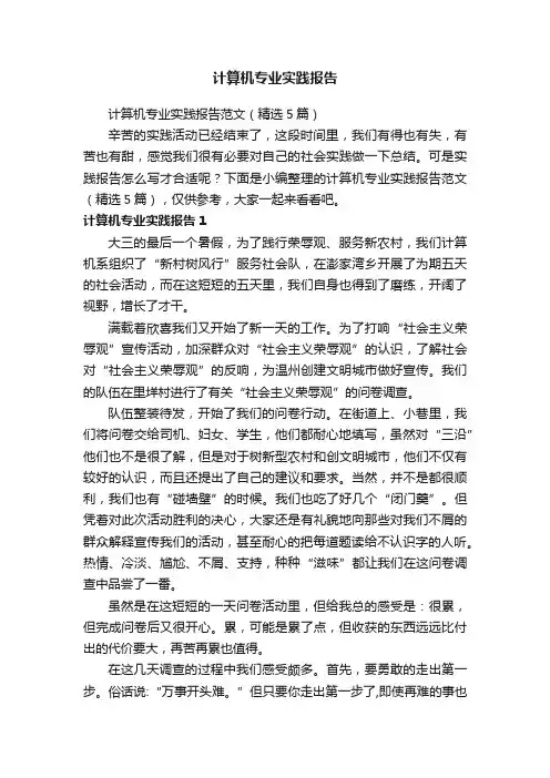 计算机专业实践报告