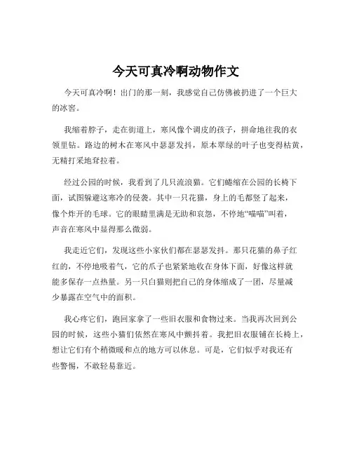 今天可真冷啊动物作文