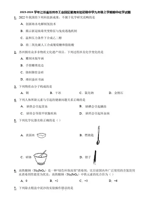 2023-2024学年江苏省苏州市工业园区星海实验初级中学九年级上学期期中化学试题