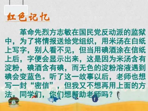沪教化学九下《7第1节 溶液的酸碱性》(共11张PPT)