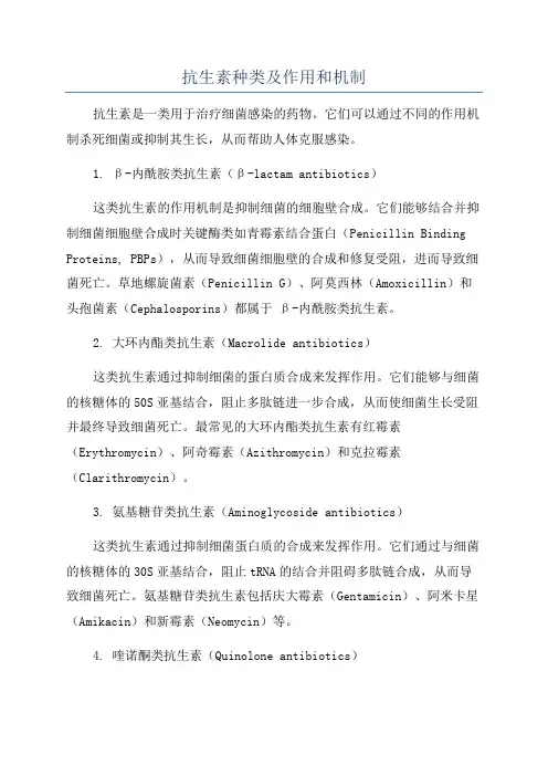 抗生素种类及作用和机制