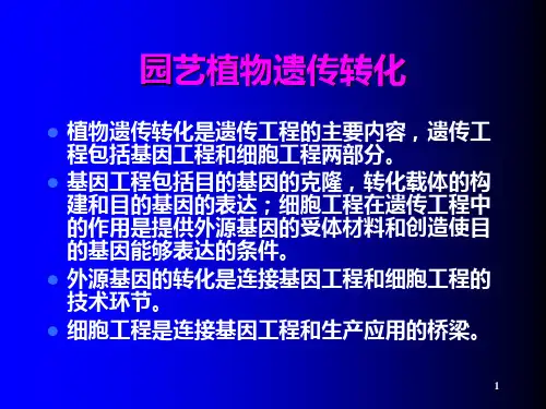 8 园艺植物遗传转化PPT课件
