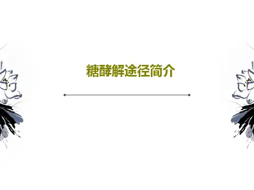 糖酵解途径简介28页PPT