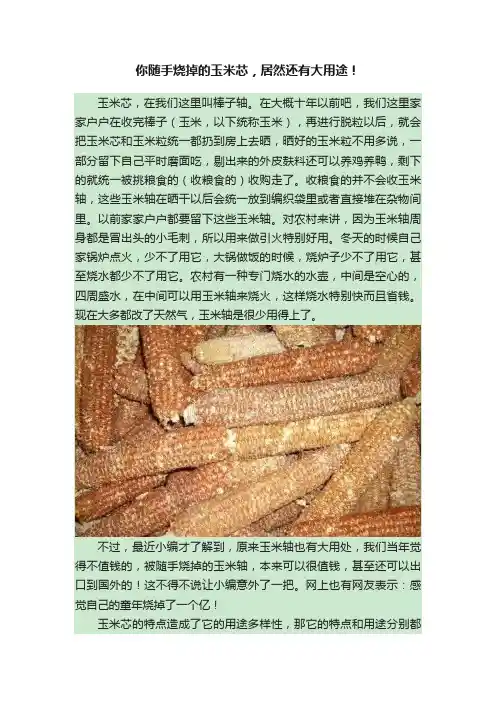你随手烧掉的玉米芯，居然还有大用途！