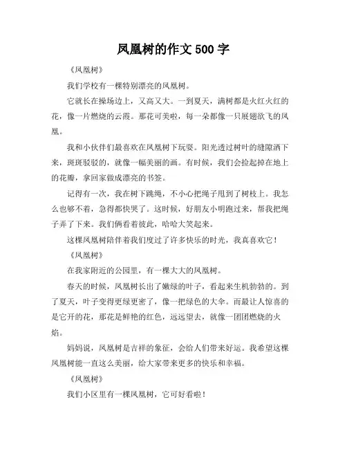 凤凰树的作文500字