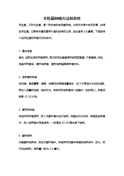羊肚菌种植方法和条件