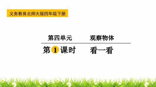 最新北师大版小学四年级数学下册《看一看》名师课件