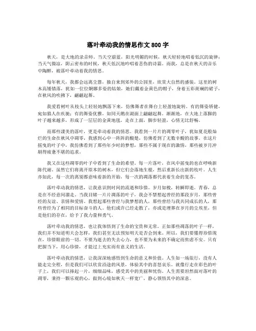 落叶牵动我的情思作文800字