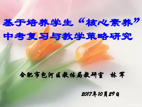 2017中考物理复习,核心素养ppt课件