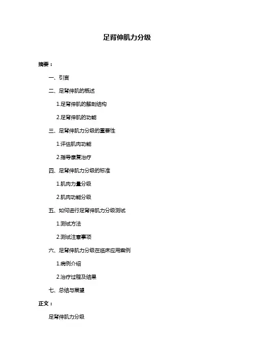 足背伸肌力分级