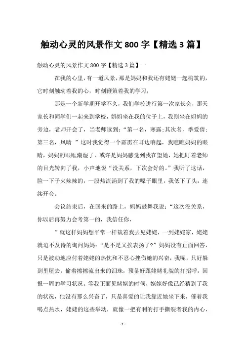 触动心灵的风景作文800字【3篇】