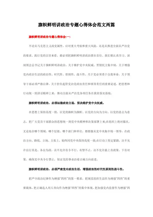 旗帜鲜明讲政治专题心得体会范文两篇