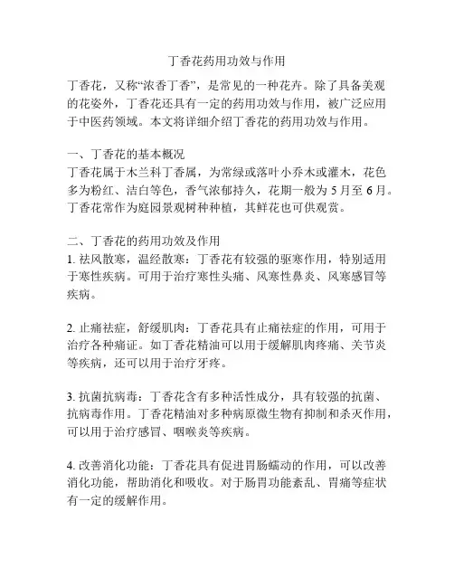 丁香花药用功效与作用