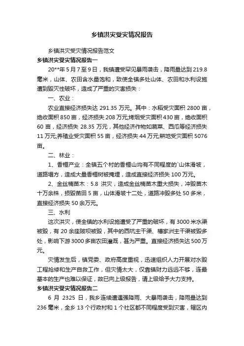 乡镇洪灾受灾情况报告