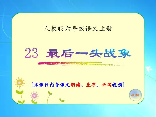 人教版六年级语文上册《最后一头战象》优质课件(含课文相关视频)