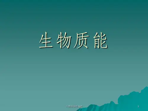《生物质能》PPT课件