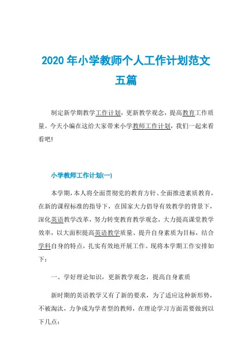 2020年小学教师个人工作计划范文五篇