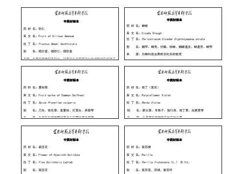 中药材标签(饮片)排版