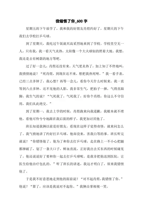 我错怪了你_600字
