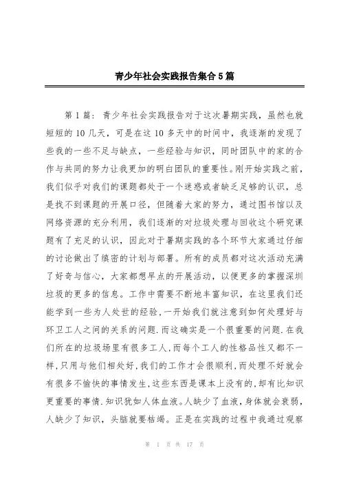青少年社会实践报告集合5篇