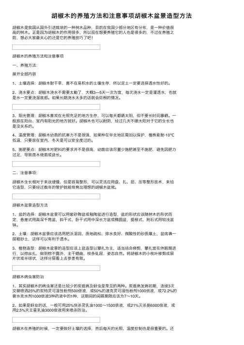 胡椒木的养殖方法和注意事项胡椒木盆景造型方法