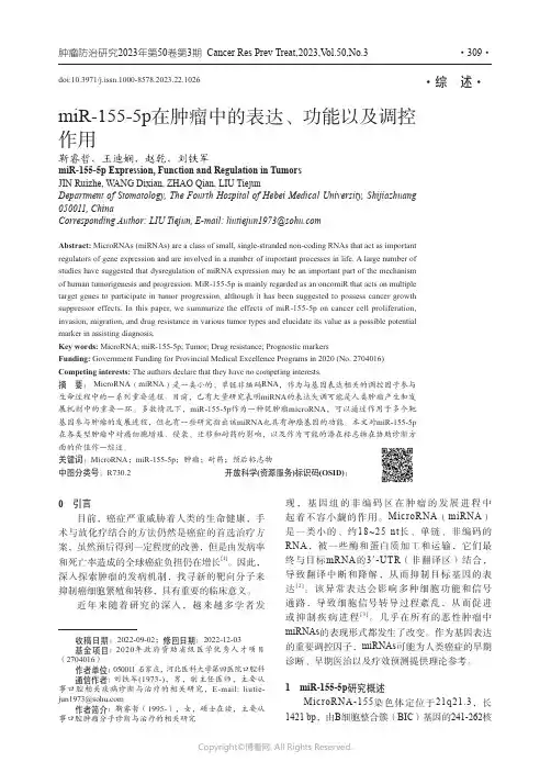 miR-155-5p在肿瘤中的表达、功能以及调控作用