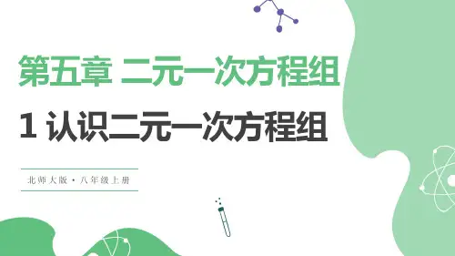 认识二元一次方程组ppt课件