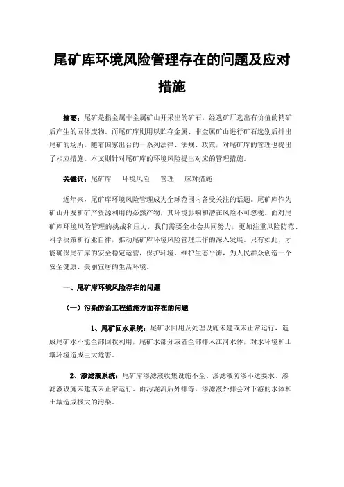 尾矿库环境风险管理存在的问题及应对措施