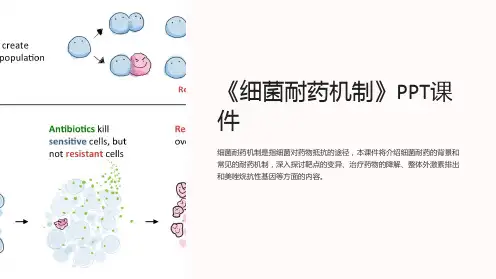 《细菌耐药机制》课件
