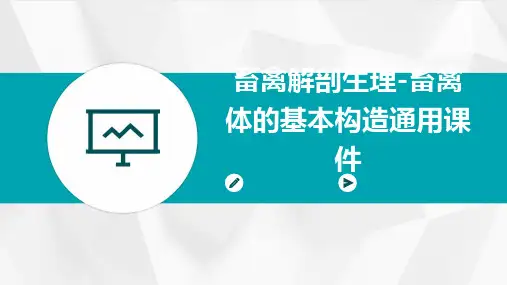 畜禽解剖生理畜禽体的基本构造通用课件