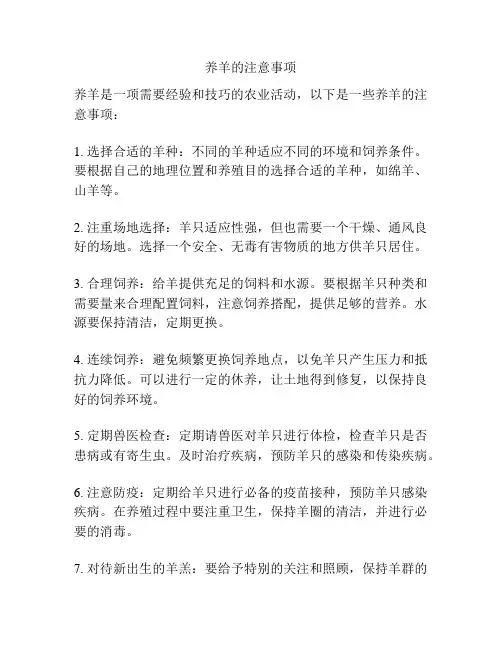 养羊的注意事项