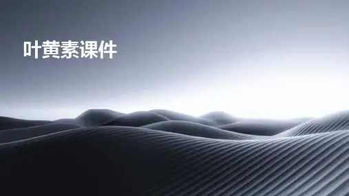 叶黄素课件ppt