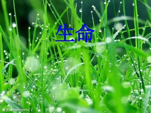 人教版语文四年级下册六单元作文PPT