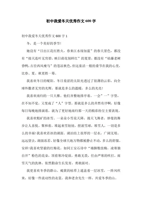 初中我爱冬天优秀作文600字