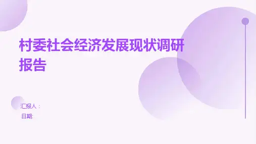 村委社会经济发展现状调研报告