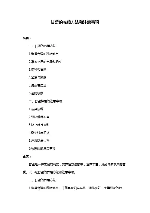 甘蓝的养殖方法和注意事项