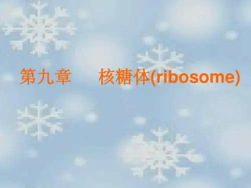 第九章  核糖体-新版