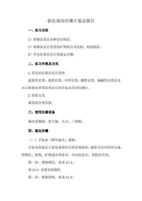 斜长角闪岩薄片鉴定报告