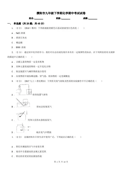 濮阳市九年级下学期化学期中考试试卷