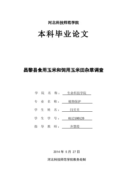 玉米田间杂草毕业论文