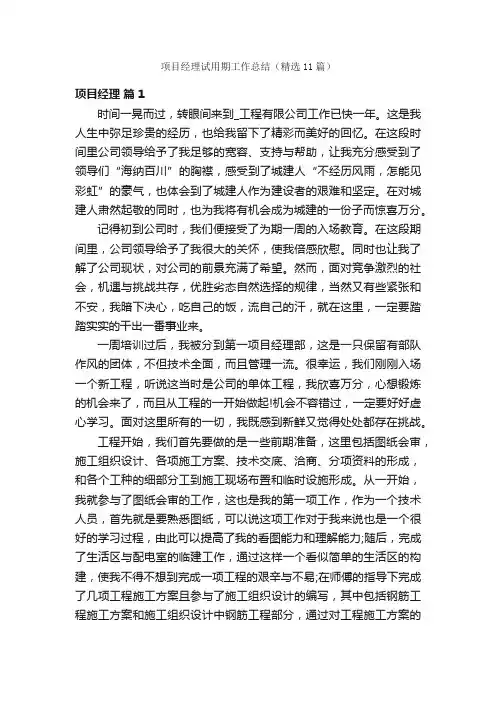 项目经理试用期工作总结（精选11篇）