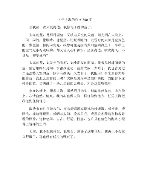 描写大海的作文500字