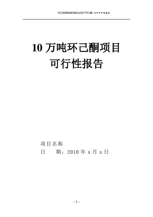 10万吨环己酮项目可行性报告 包含市场技术分析
