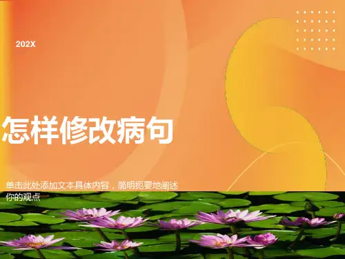 小学修改病句综合课件