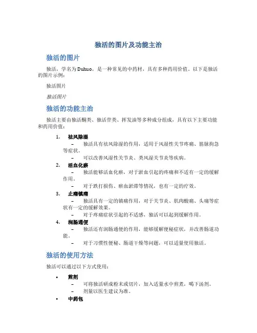 独活的图片及功能主治