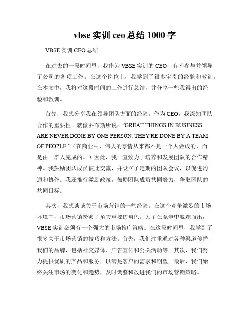 vbse实训ceo总结1000字