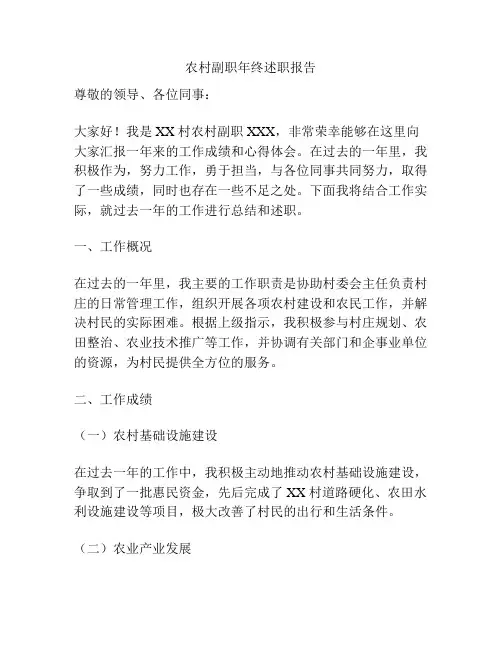 农村副职年终述职报告