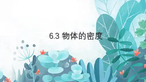 物质的密度课件苏科版物理八年级下册(完整版)