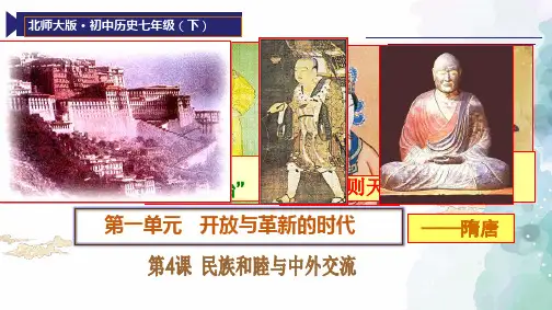 北师大版本-历史-七年级下册-北师版新版七下第4课 民族和睦与中外交流 课件(22张)