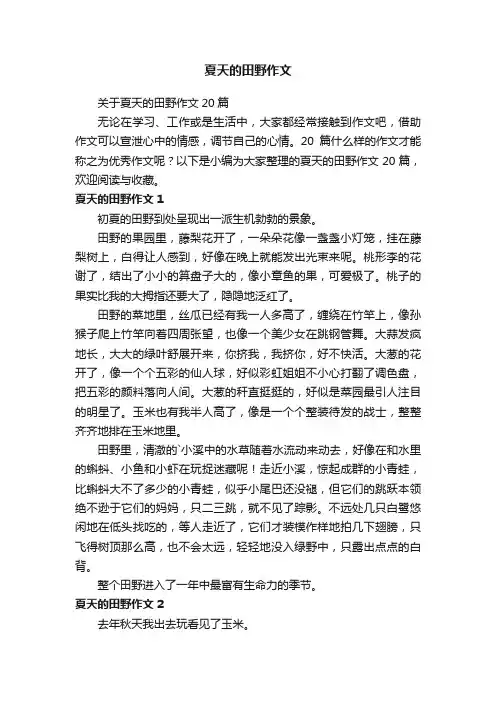 关于夏天的田野作文5篇